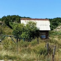 Заброшенный участок дачи .