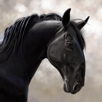 Кладрубская или Старокладрубская лошадь
