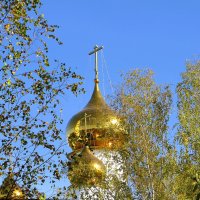 Золотые купола :: Лариса С.
