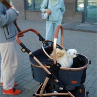 собачий коммунизм