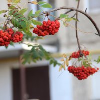 сентябрь