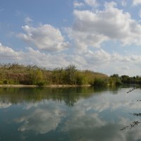 Полетели облака - белокрылые лошадки...