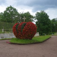 в Дворцовом парке :: zavitok *