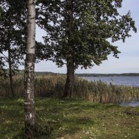 Пейзаж
