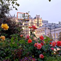 Дождливый вечер :: Татьяна Тюменка Дождливый вечер :: Татьяна Тюменка