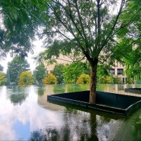 Дождь в парке :: Екатерина Леш