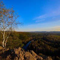 Осенняя берёзка.