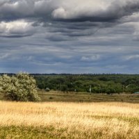 Краски осени