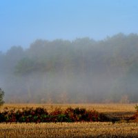 Утренний туман (4) :: Георгий А