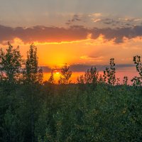 И замирая, пламенем дыша, в вечернем небе тают облака...