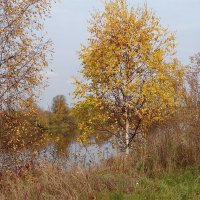 Осень у реки