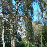 Кировск. Сентябрь
