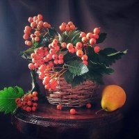 С Днём груши! Желаю, чтобы каждый день приносил радость и удовольствие, как вкусная груша.