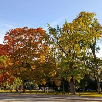 Осень в Питере :: Татьяна Пальчикова