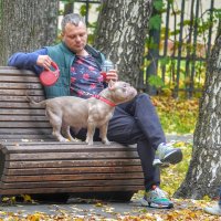 В парке