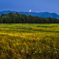 Пейзаж