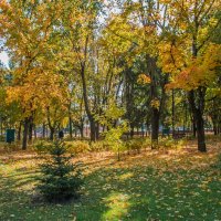 По аллеям бродит осень ...