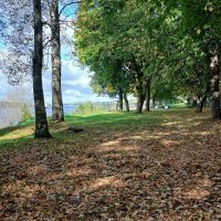 Кировск. Городской парк :: Наталья Герасимова Кировск. Городской парк :: Наталья Герасимова