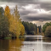 В поисках Золотой Осени