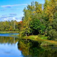 Осенний парк. :: Владимир Алексеевич Милешкин