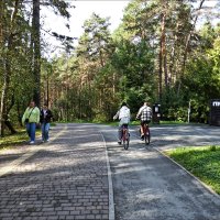 В парке