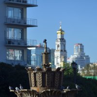 Каменный цветок :: Сергей Сергеев Каменный цветок :: Сергей Сергеев