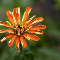 IMG_3691