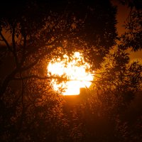 Природа