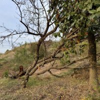 Пейзаж :: Любовь Броневицкая Пейзаж :: Любовь Броневицкая