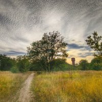 Родные просторы :: Мариша Тим