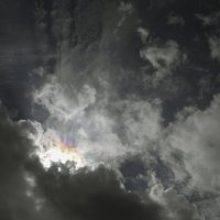 Природа :: Вадим Виловатый