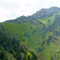 МАЛЕНЬКАЯ ПРОГУЛКА. :: Виктор Осипчук