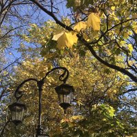 Солнечное утро :: Татьяна 
