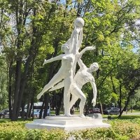 Баскетболисты
