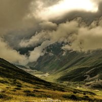 45645 :: HART BAD