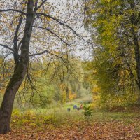 В осеннем парке...