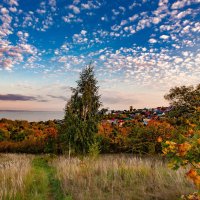 Винновская роща