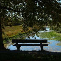 После жаркого лета