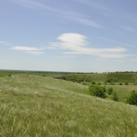 Ковыль. :: Виктор 