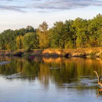 Осень на Клязьме :: Сергей Цветков