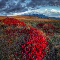 Краски осени