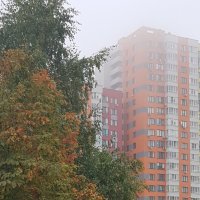 Цвет осени