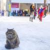 Ещё один всё понял(с) :: Яна Барабанова(Корецкая)