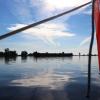 Птичья баржа :: Марсель Валеев 