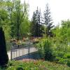 Гуляя по парку :: Фёдор Меркурьев