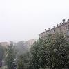 Снег в мае, 02. 05. 2025 г. :: Владимир Драгунский