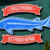 Московская область. г. Пушкино. Осетровая ферма. :: Наташа *****