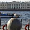 "Высоко сижу, Далеко гляжу!" :: AleksSPb Лесниченко