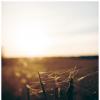 *** :: someone somewere