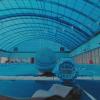 12  КЛОС (1120) :: CLOSE WAYS ALL